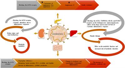 Susceptibility to Metabolic Diseases in COVID-19: To be or Not to be an Issue